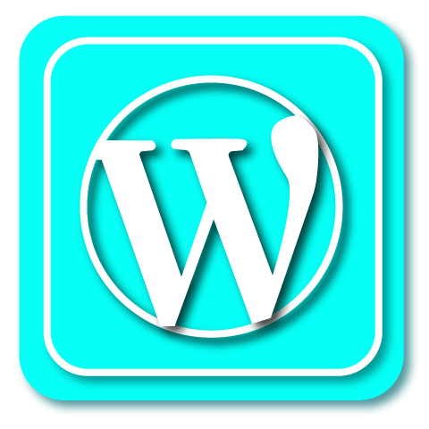 Icone personnalisée sur fond bleu clair de WordPress
