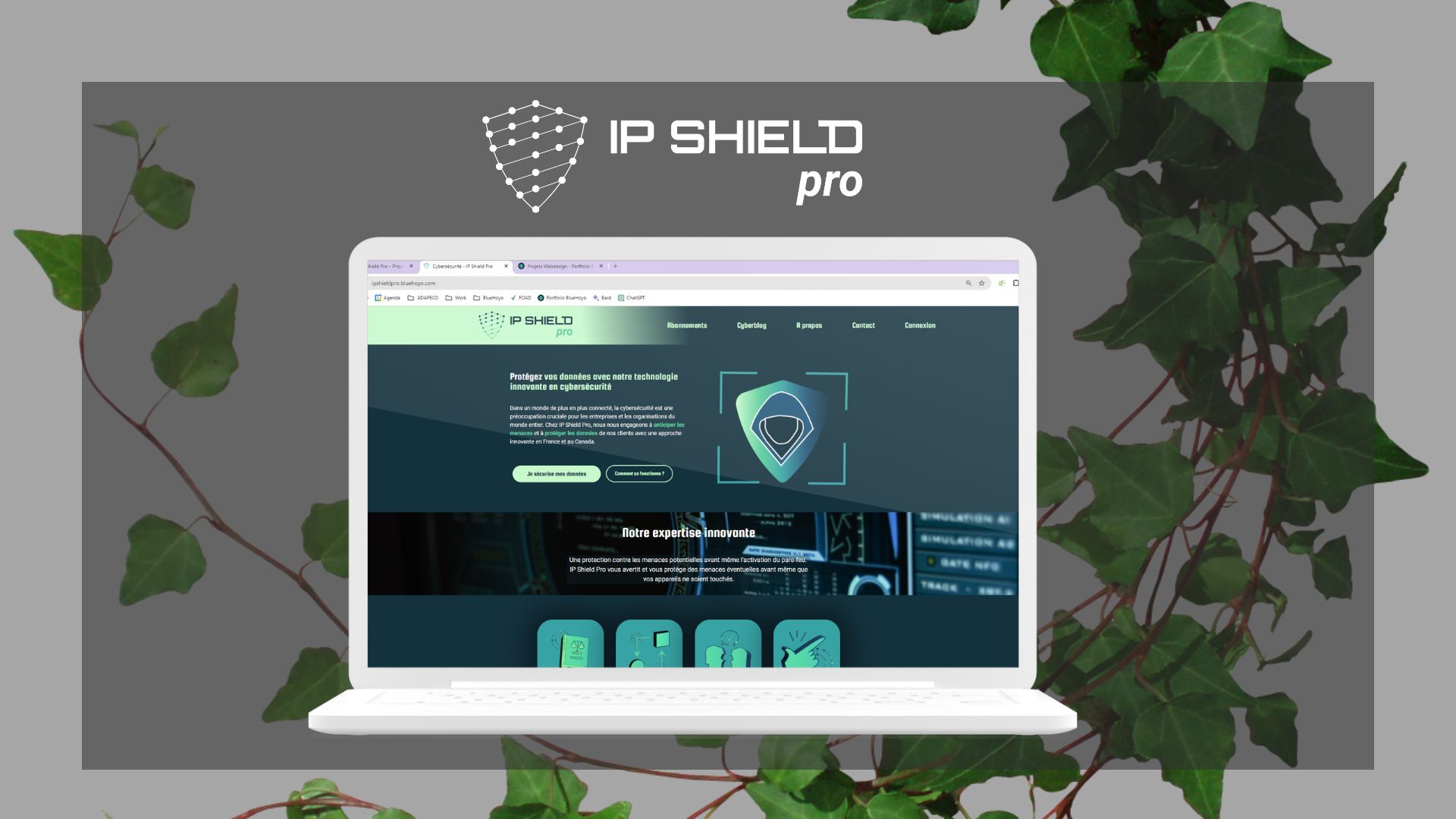 Site IP Shield Pro – BlueHoyo
