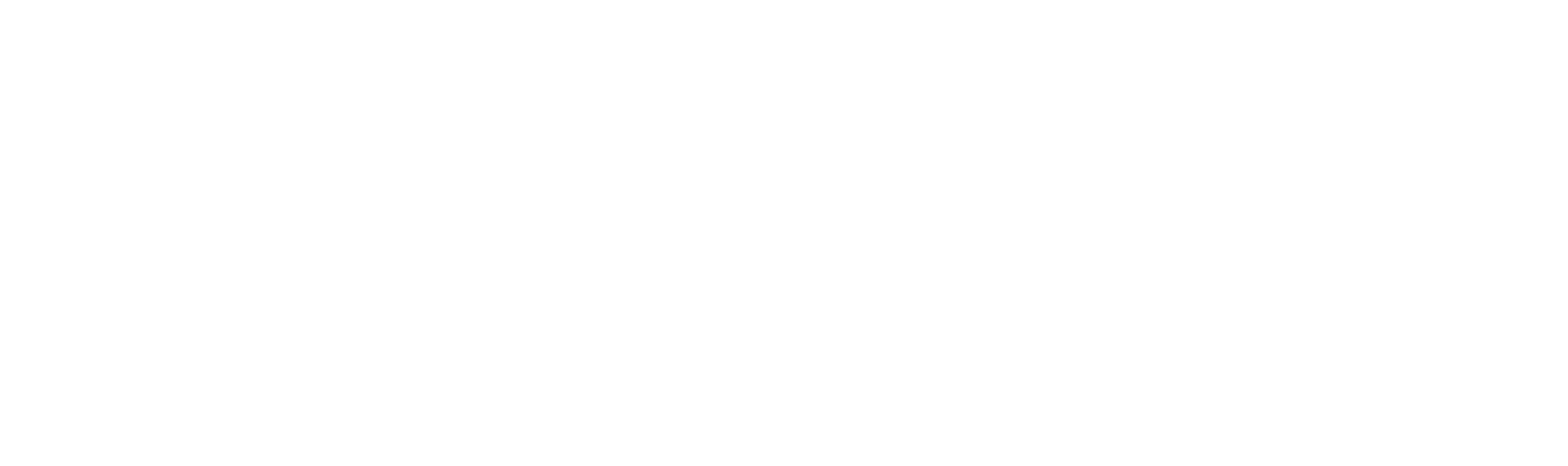 logo IP Shield Pro version Blanche
